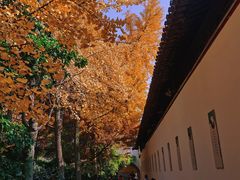 -西园戒幢律寺