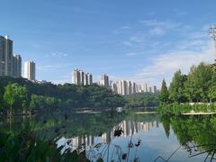 -重庆彩云湖湿地公园