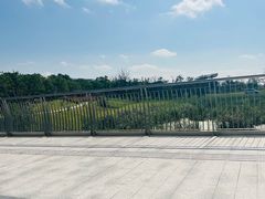 -上海滴水湖皇冠假日酒店