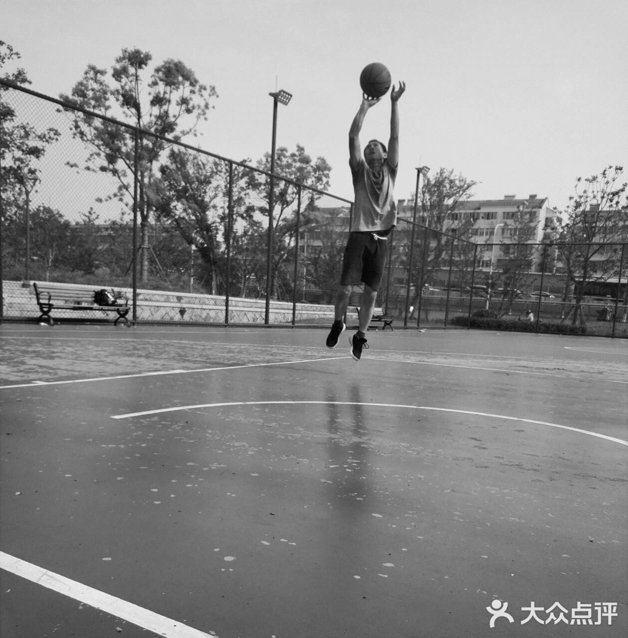 芳草碧连天 问君此去几时来 来时莫徘徊
