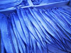 -三旗百汇商品城