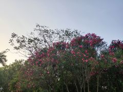 -松坪山公园