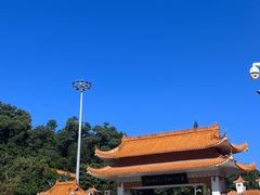 -深圳仙湖植物园