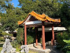 -深圳仙湖植物园