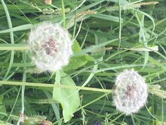 怡沁园度假村-上海怡沁园度假酒店