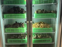 -山菌美食苑(振兴路店)