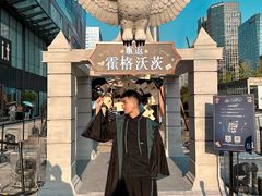 -合景·悠方(成都店)