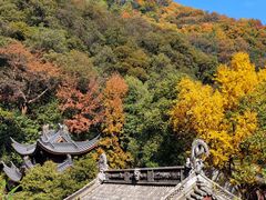 景观位-韬光茶庵