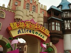 -爱丽丝仙境花海