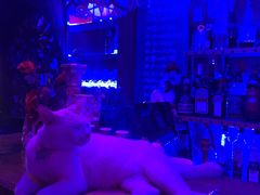 -星宿秘码(鼓浪屿老店)