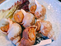 烧海螺-德川家日本料理(中关村寰太大厦店)