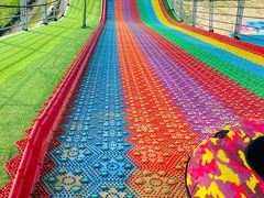 -泗洪洪泽湖湿地景区