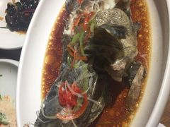 豉蒸南海大龙胆-必点海鲜·鲅鱼水饺(鞍山西道店)