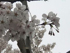 -上海南浦大桥长途旅游客运站