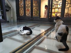 -猫的天空之城概念书店(杭州南宋御街店)