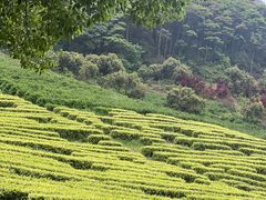 -东钱湖旅游度假区