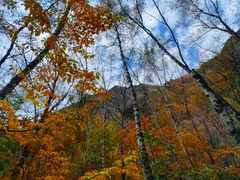 -叠溪松坪沟景区