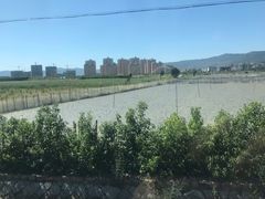 -北岐滩涂