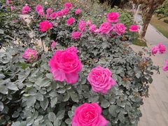 -人民公园(罗湖区)