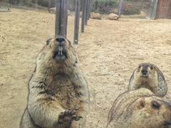 -茅山东方盐湖城景区
