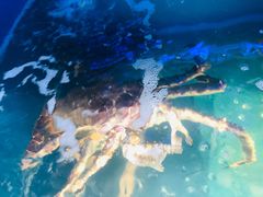 -海博汇蒸汽海鲜