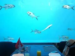 -瑞德姆美人鱼海底演艺主题餐厅(亚龙湾店)