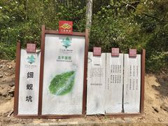 -羚羊峡古栈道森林公园