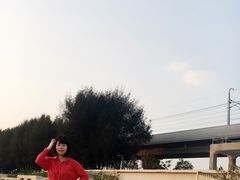 -宝安西湾红树林湿地公园