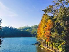-深圳仙湖植物园