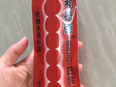 -和禄德冰糖葫芦