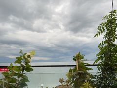 -野菌皇海景野生菌火锅(滨海大道店)