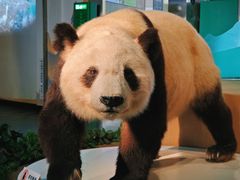 -陕西自然博物馆