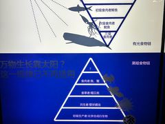 -同济大学四平路校区深海探索馆