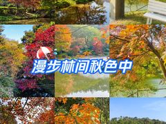 -田野绿世界