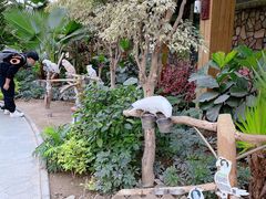 -南宫五洲植物乐园