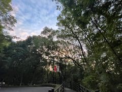 -广州市帽峰山景区