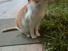 -晓港公园