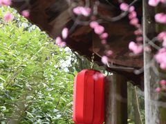 -唐崖土司城遗址