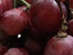 -绿叶水果(长沙绿地之窗店)