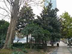 android_upload_pic-喷泉公园