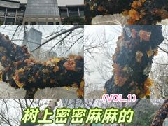 -西湖文化广场