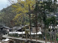 -MOJ coffee(瓯海泽雅水碓坑店)