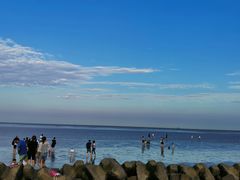 -南汇嘴观海公园