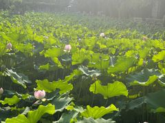 -四川大学(华西校区)