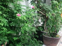 -花迹(富春江东街店)