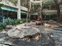 -白虎自助餐厅·真老虎·景观自助餐厅(广州长隆酒店)