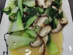-何猫特色黄焖羊肉