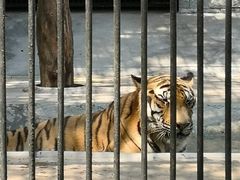 -广东茂名森林公园