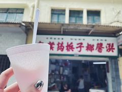 -洪馨椰子