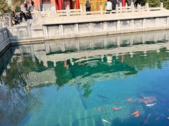 -百脉泉景区
